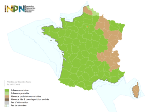 Distribution du frelon asiatique en France au 21/07/2016