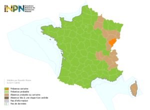 Distribution du frelon asiatique en France au 03/11/2016